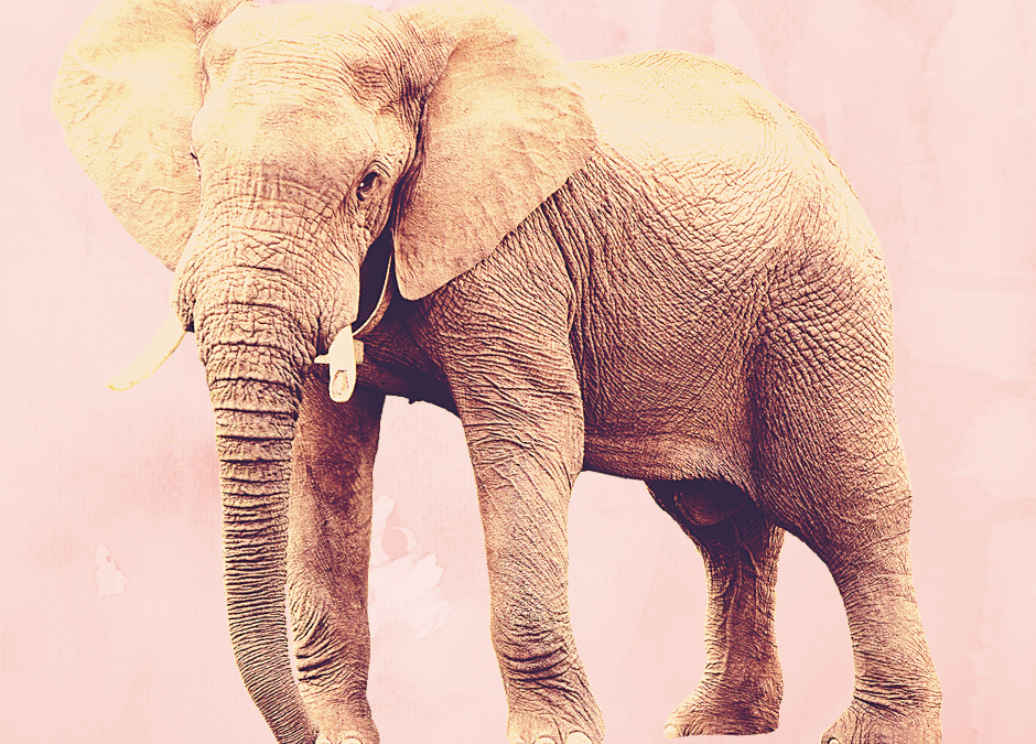 Har även du sett den rosa elefanten?